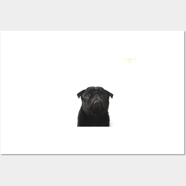 Hugo The Black Pug // Wall Art by jlwilliamsss